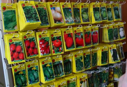 Как выбирать семена при покупке