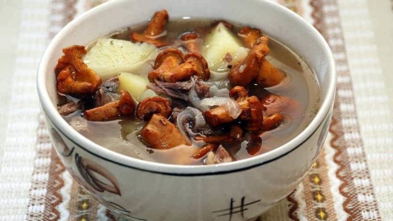 5 лучших рецептов супа из лисичек