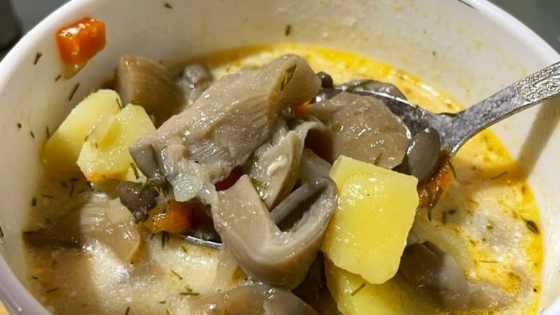 Супы с грибами вешенками – настоящий кулинарный наслаждение