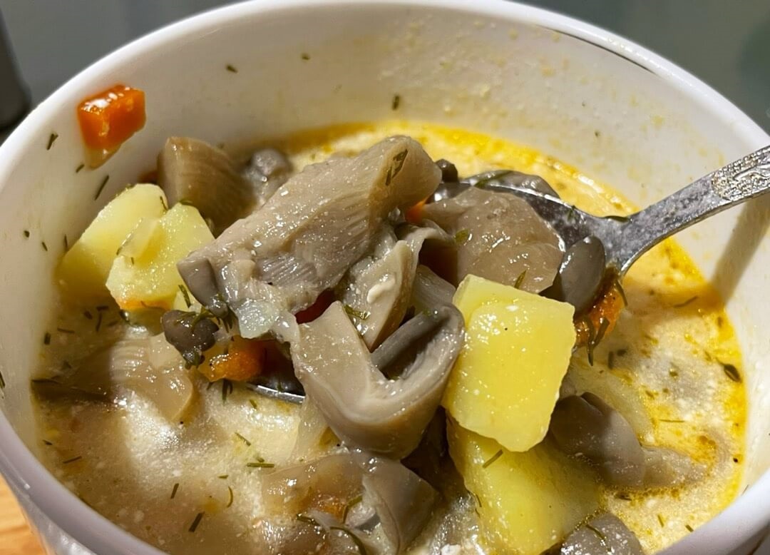 Супы с грибами вешенками – настоящий кулинарный наслаждение